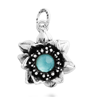 Charm Giovanni Raspini in Argento 12713